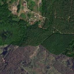 Satelita