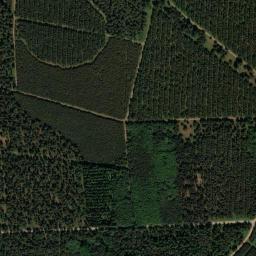 Satellite view of Thetford Golf Club
