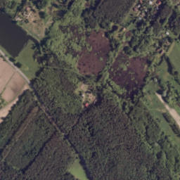 Satelita
