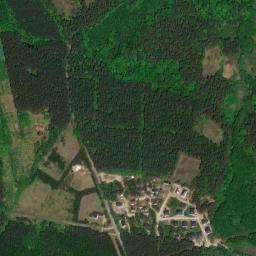 Satelita