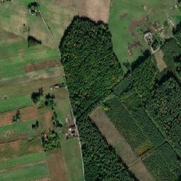 Satelita
