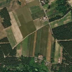 Satelita