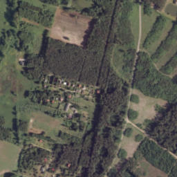 Satelita