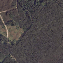 Satelita