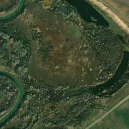Aleyskiy Rayon map(satellite map)