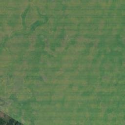 Wilkie map(satellite map)