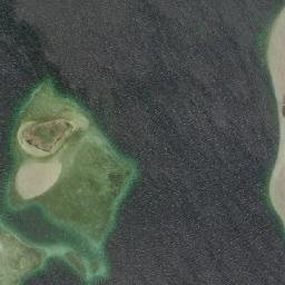Satelita