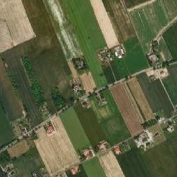 Satelita