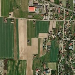 Satelita