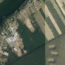 Satelita