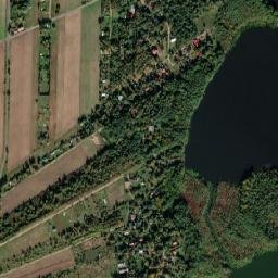 Satelita