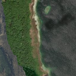 Satelita