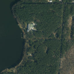 Satelita
