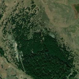 Satelita