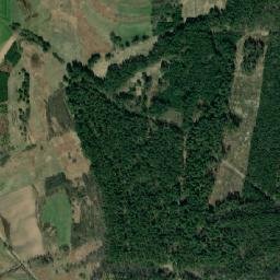 Satelita