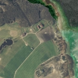 Satelita