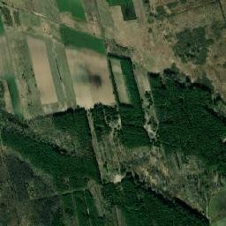 Satelita