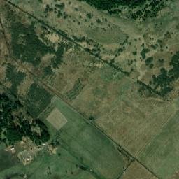 Satelita