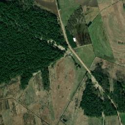 Satelita