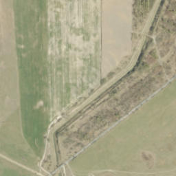 Satelita