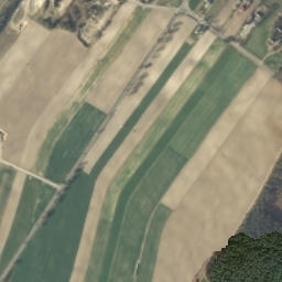 Satelita
