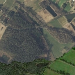 Satelita