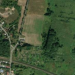 Satelita