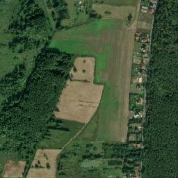 Satelita