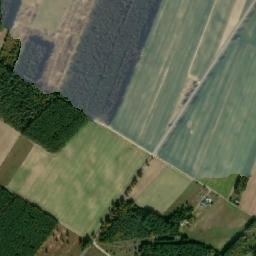 Satelita