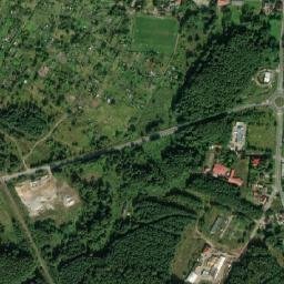 Satelita