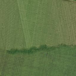 Znamenskiy Rayon map(satellite map)