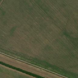 Shipunovskiy Rayon map(satellite map)