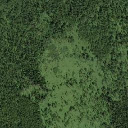 Irkutskiy Rayon map(satellite map)