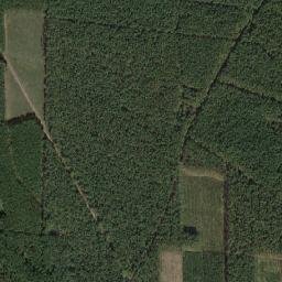 Powiat słubicki map(satellite map)