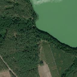 Satelita