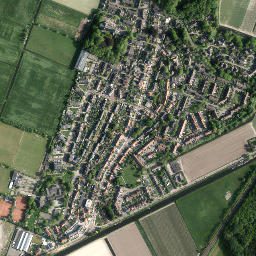 Vogelenzang map(satellite map)