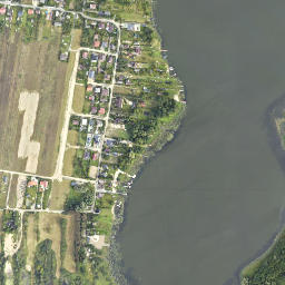 Satelita