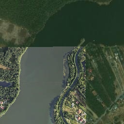 Satelita