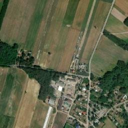 Wierzbno map(satellite map)