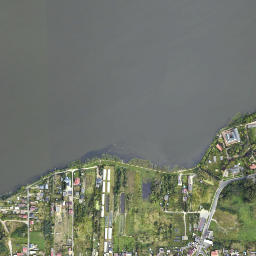 Satelita