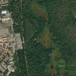 Bad Saarow map(satellite map)