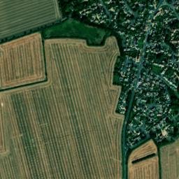 Hilton map(satellite map)