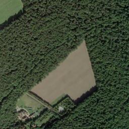 Satelita
