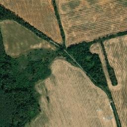 Satelita