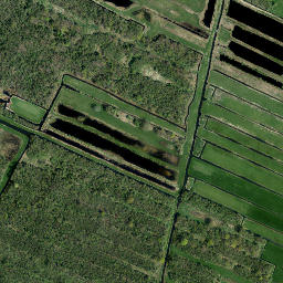 Ankeveense Rade map(satellite map)