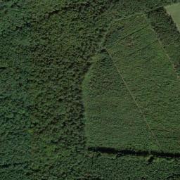 Satelita
