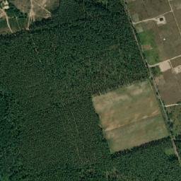Satelita
