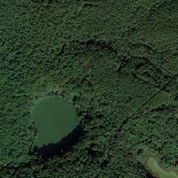 Satelita