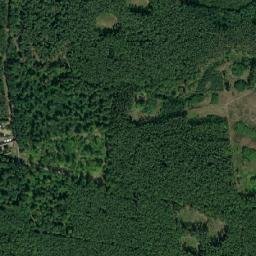 Satelita