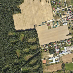 Satelita